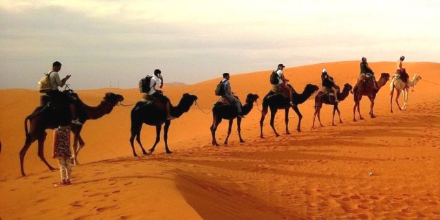 camelo safari jaisalmer