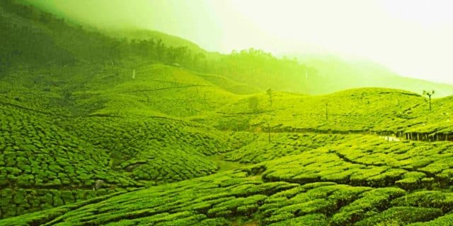 Orte in Kerala zu besuchen