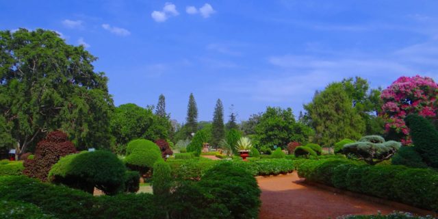 Brindando jardín Mysore