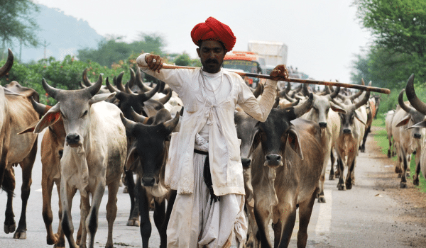 Jodhpur Village Tour