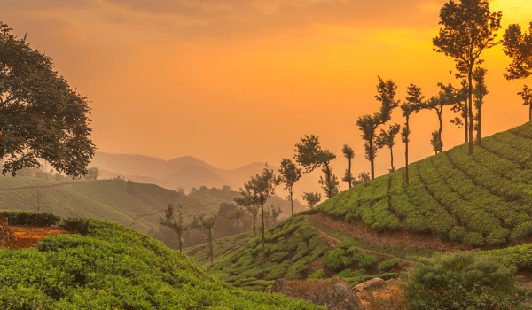 Munnar