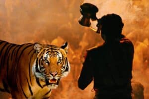 bandhavgarh national park india varansi tour