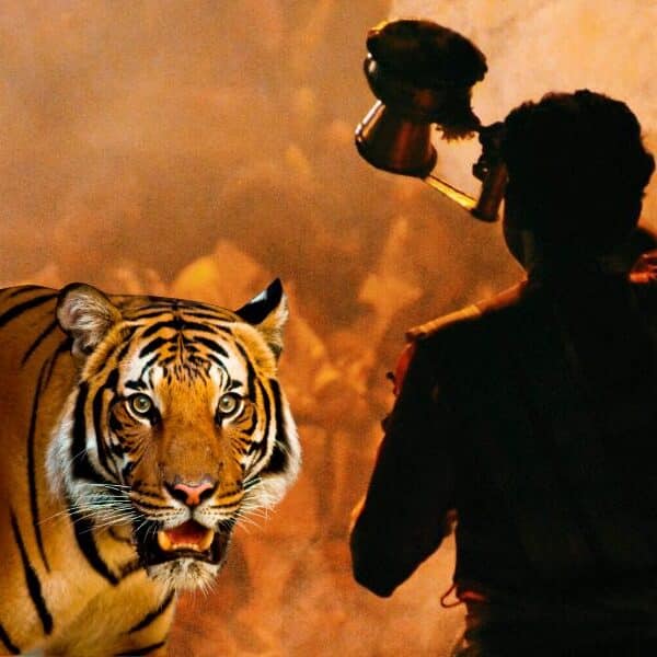 bandhavgarh national park india varansi tour