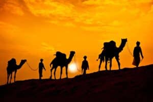 rajasthan travel itinerary private showing craft traditions and royal city landmarks