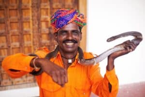 tour of rajasthan Customized Private through forts, palaces and desert heritage