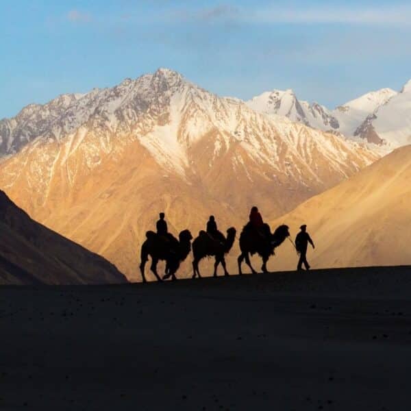 Voyage au Ladakh avec le lac Pangong, la vallée de Nubra et les paysages de haute altitude