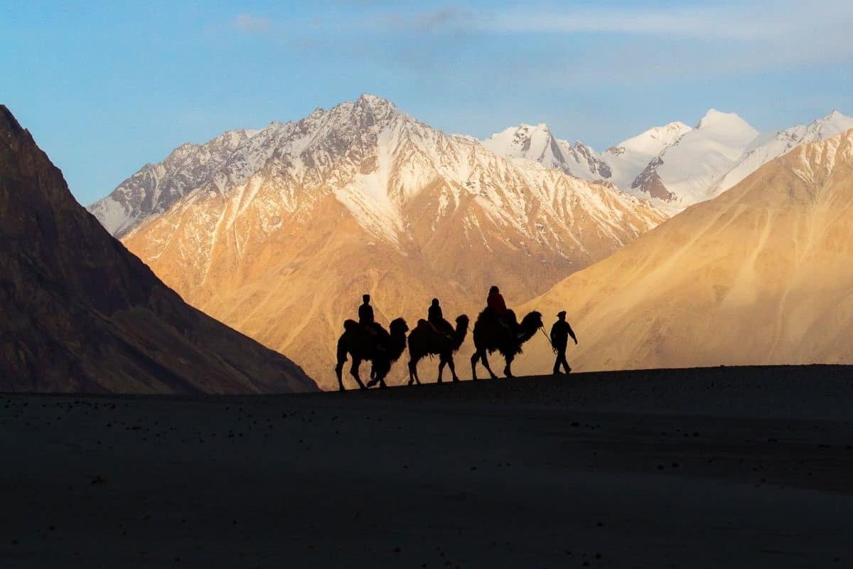 Ladakh travel with Pangong Lake, Nubra Valley and high-altitude landscapes