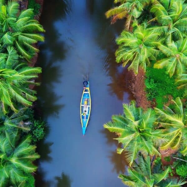 ココナッツの木々の間に浮かぶ小さなボートが写るケララ州のバックウォーターの空撮写真