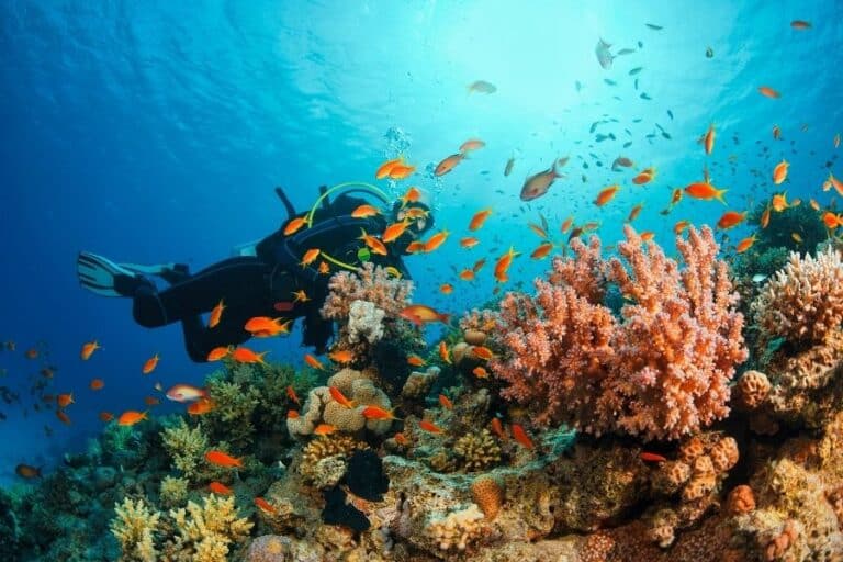 andaman and nicobar islands tour packages as a private luxury island escape