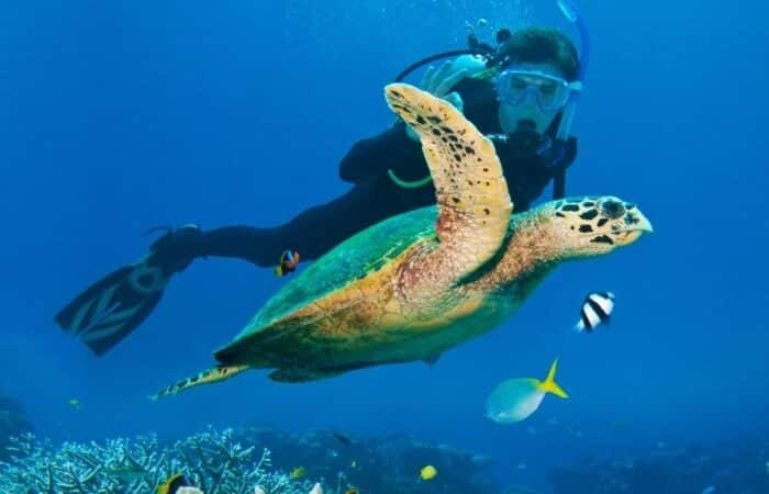 best lakshadweep tour package as a private luxury island escape
