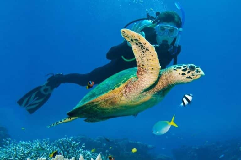 best lakshadweep tour package as a private luxury island escape