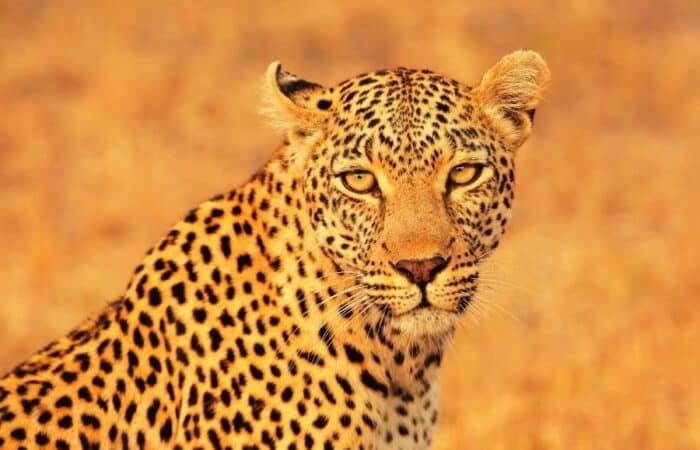 Delhi Agra Jaipur tour 3 days with private sightseeing and heritage hotels with Taj Mahal, Delhi and Jaipur heritage landmarks