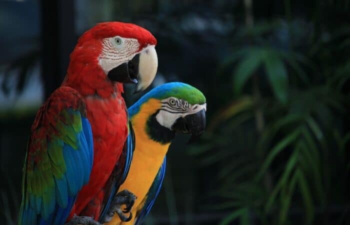 ghana bird sanctuary in a curated wildlife expedition