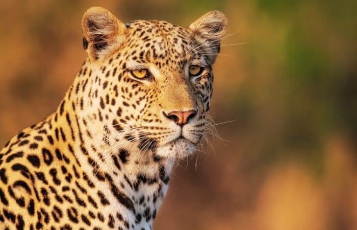 Jaipur trip package with palace courtyards, bazaars and royal landmarks