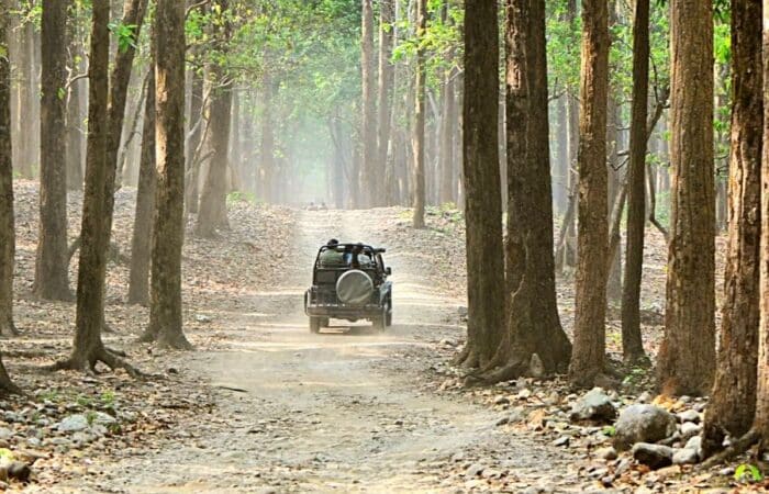 Jeep safari in Pench National Park with reserve roads, forests and tiger habitat views in a curated wildlife expedition