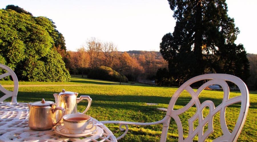 kerala holiday packages