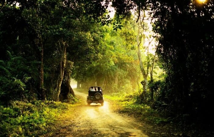 Private Kerala trip package through Kochi, Kumarakom backwaters, Munnar tea hills and Periyar Wildlife Sanctuary in a curated wildlife expedition