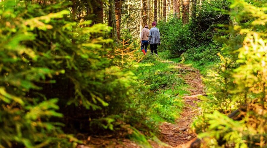 kochi holiday package