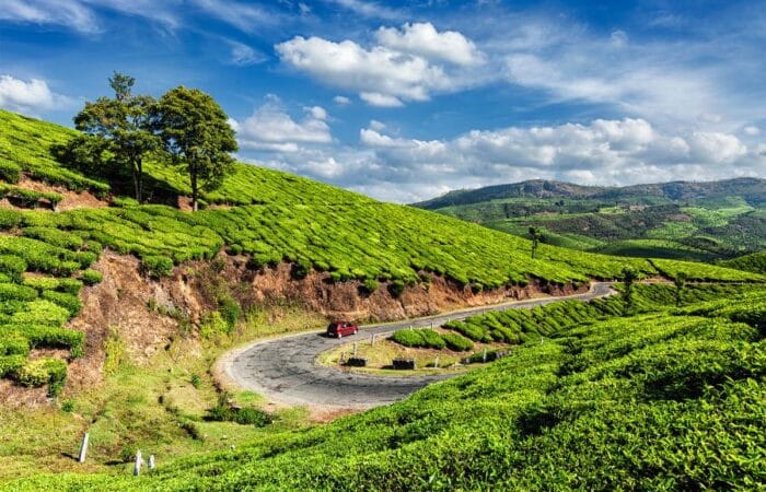 Kumarakom trip with lakeside stays, birdlife and peaceful Kerala backwater scenery