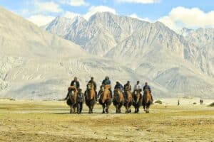 ladakh travel