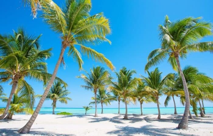 lakshadweep islands holiday packages with islands, lagoons and quiet beaches