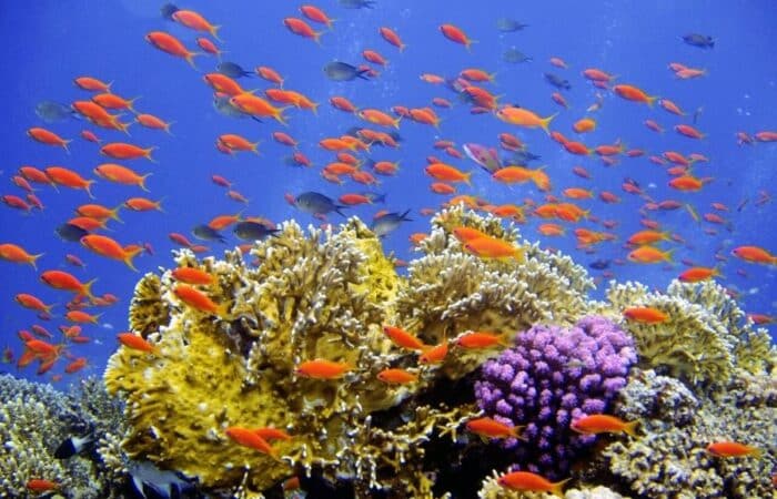 lakshadweep islands tour packages with islands, lagoons and quiet beaches