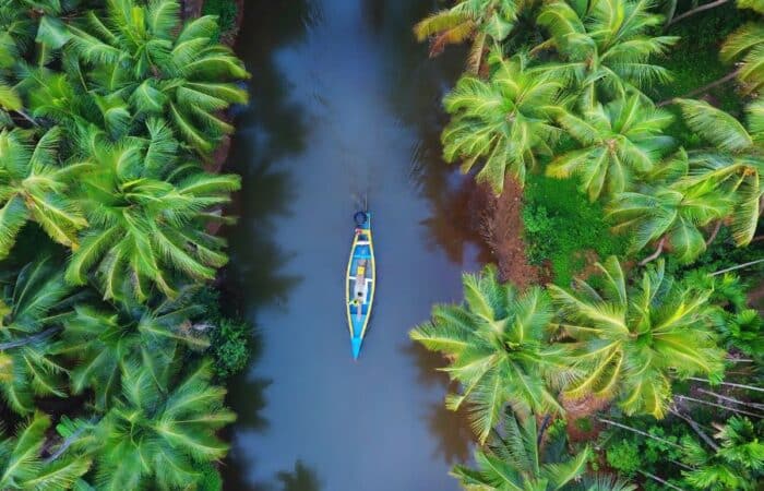 Tour package for Munnar with tea gardens, mountain roads and scenic hill viewpoints in a tailor-made Kerala escape