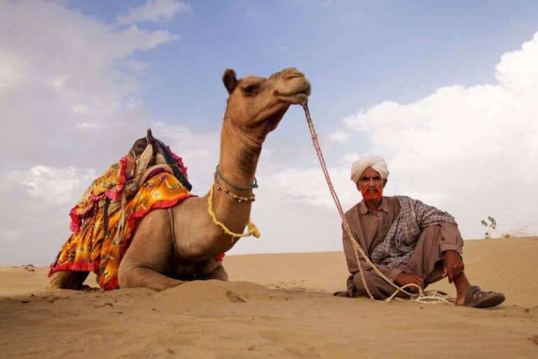 package for jaisalmer featuring royal architecture and heritage hotels