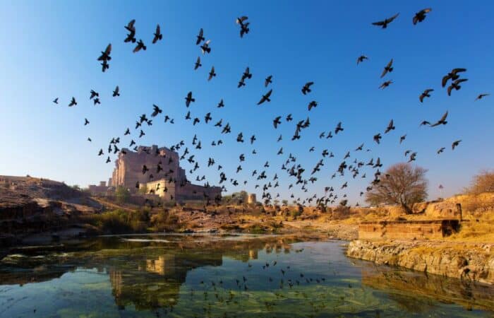 Rajasthan-Reisepakete