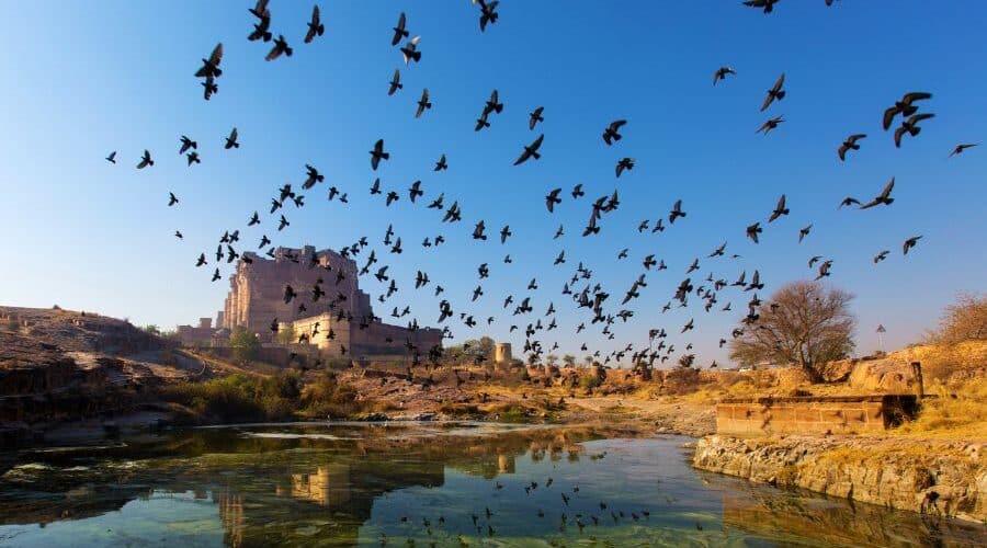 rajasthan travel packages