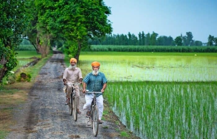 travel to amritsar with temples, old cities and local traditions