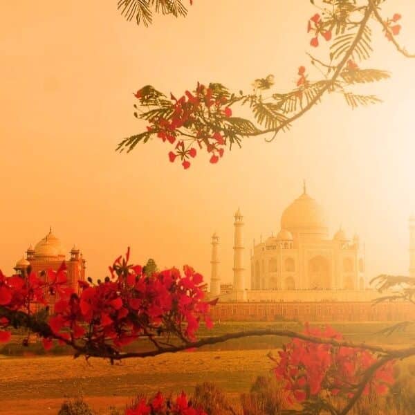 golden triangle with varanasi tour