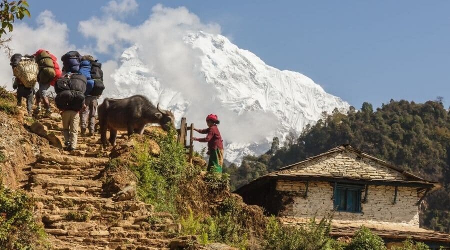 package trip to himachal pradesh