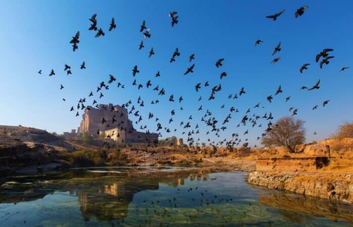 rajasthan trip itinerary showing craft traditions and royal city landmarks