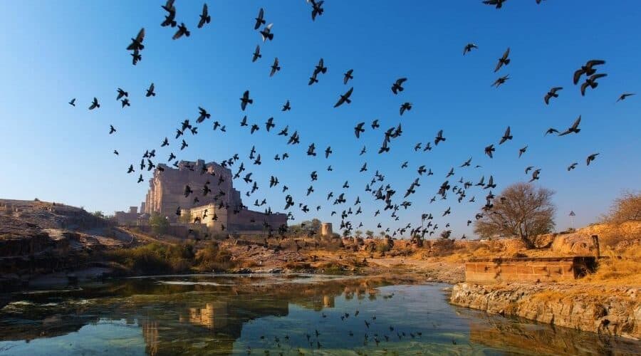 rajasthan trip itinerary