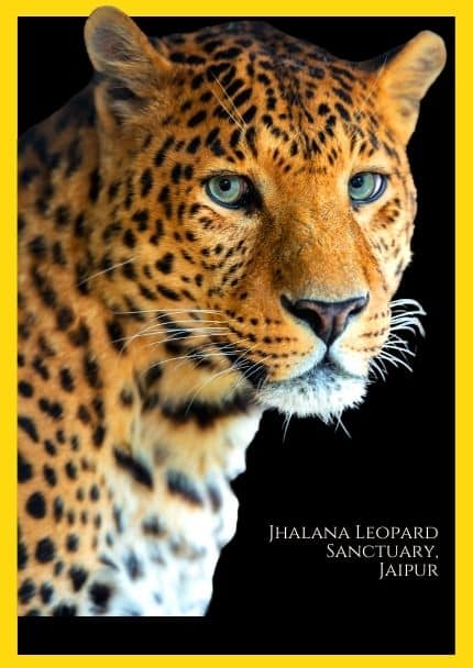 Private Safaris in India