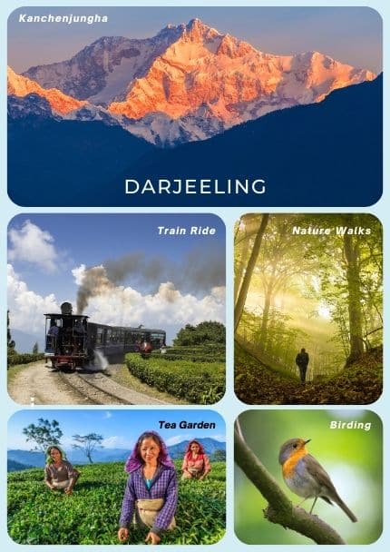 Private Tour in Darjeeling