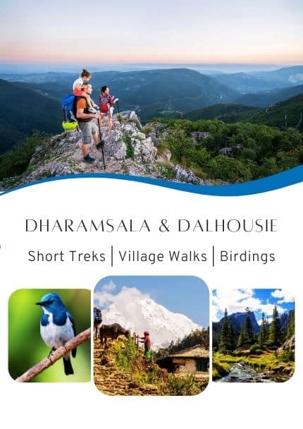 Private Tour in Himalayas