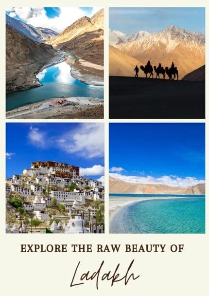 Private Tour in Leh Ladakh