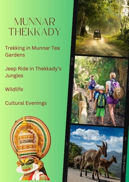 Private Trip to Munnar Thekkady