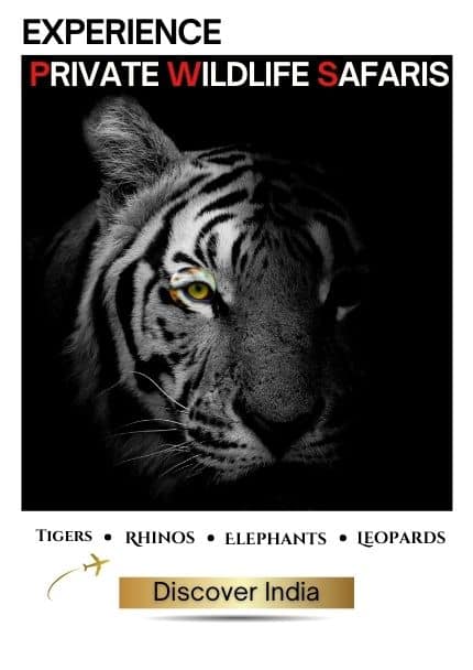 Private Wildlife Safaris in India