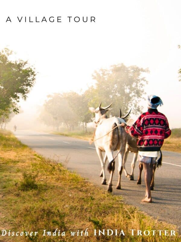 amritsar-travel-package with temples, monuments and heritage stories